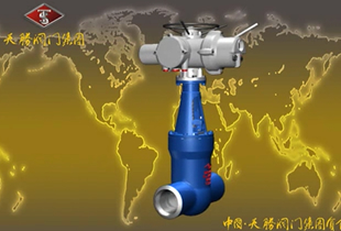国标电站闸阀视频